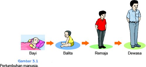 Mari berbagi sains: pertumbuhan dan perkembangan