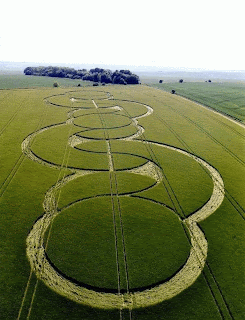 crop-circles-4.gif