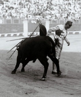 16 ortega1 pq