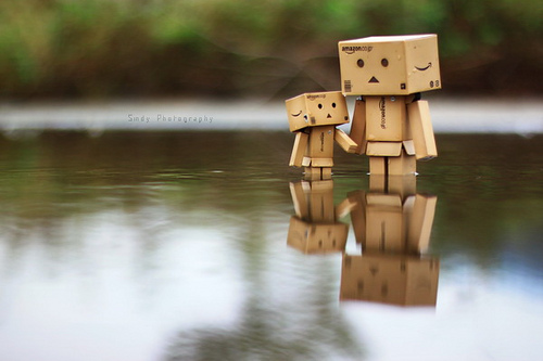 10 Creative Danbo Pictures