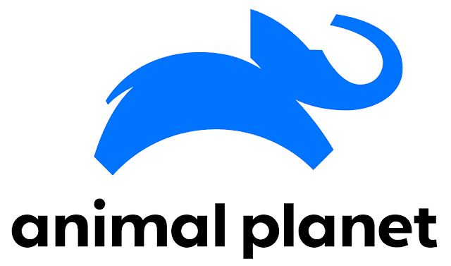 nuevo-logotipo-para-animal-planet-elefante-azul