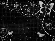 Butterfly Wallpaper (black butterfly wallpaper )