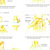 List Of Movements Of The Human Body - List Of Joints In The Human Body