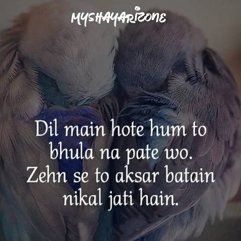 Bhool Naa Jaana Dard Bhari Shayari in Hindi