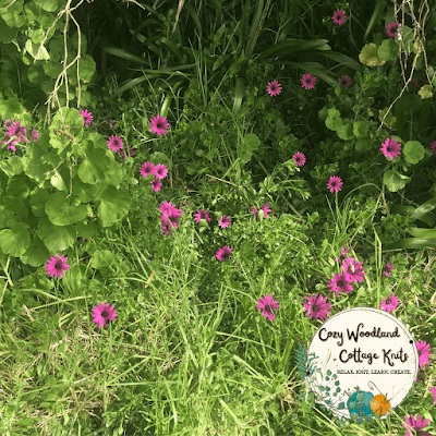 Picture of purple flowers in the secret garden