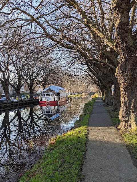 Reflections of trees on the Grand Canal in Dublin in January