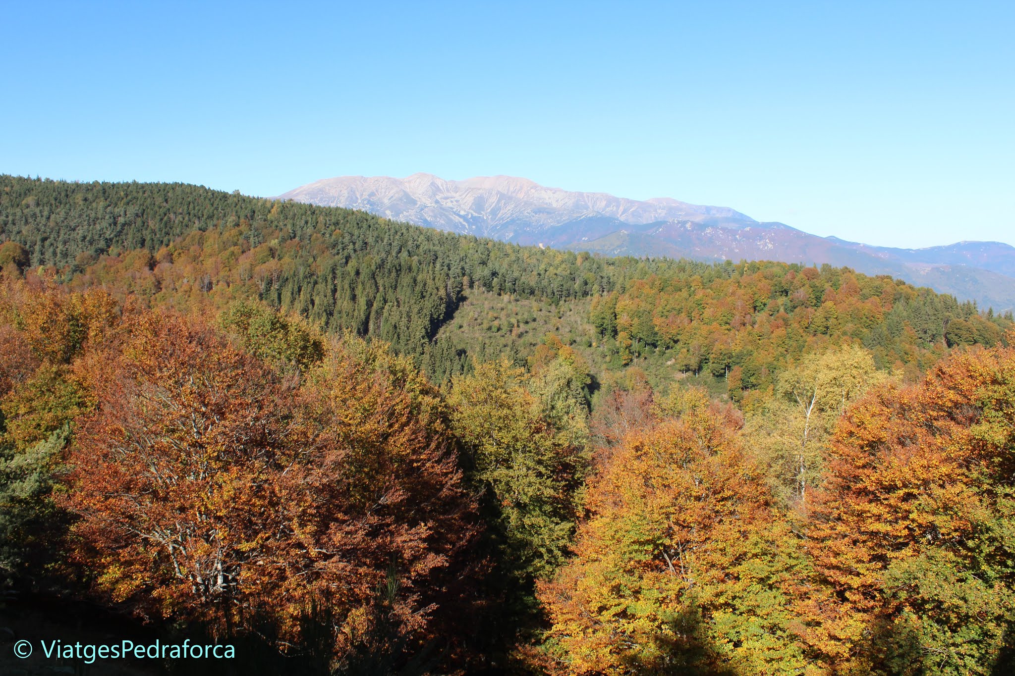 Colors de tardor, fagedes, arbres caducifolis, natura, senderisme, Catalunya