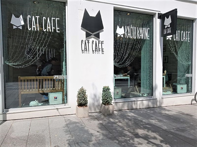 vetrina del cat cafe a vilnius