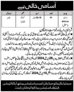 Jobs in Station Health Organization