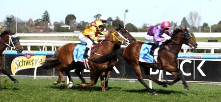 race 4_finish