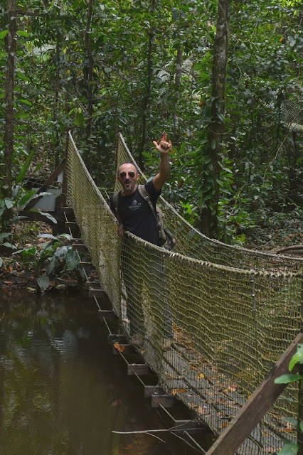 Guyane, Saül, village dans la foret tropicale, foret, oiseaux, faune et flore, calme, air Guyane, randonnée Guyane