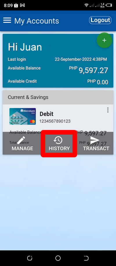 debit account history