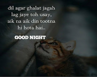 Good Night Hindi Shayari Pic.jpg