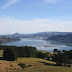 #932 Otago Peninsula, New Zealand