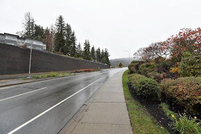 Trans Canada Trail climb through Abbotsford BC.