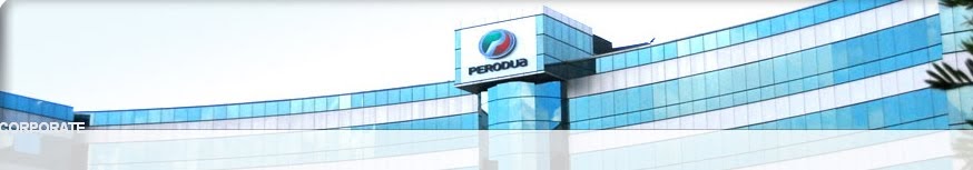 Perodua kenari: Background of PERODUA