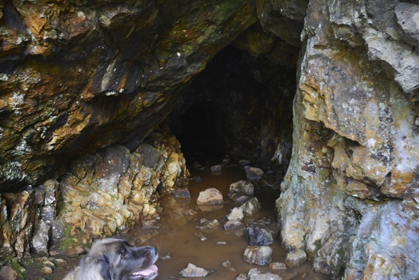 Spenningsbygruv Bergsgruva Ramndalskollen