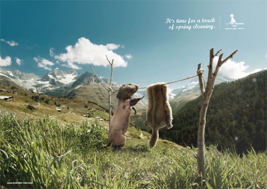 Mountain-Riders-Its-time-for-as-spring-cleaning-funny-ad38