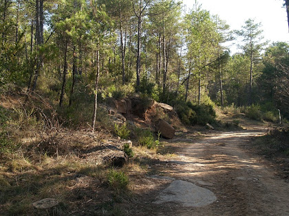 Camí cap a Cal Vinya Vell