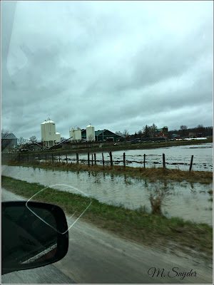 April 26, 2019 Driving to Owen Sound past flooded fields.