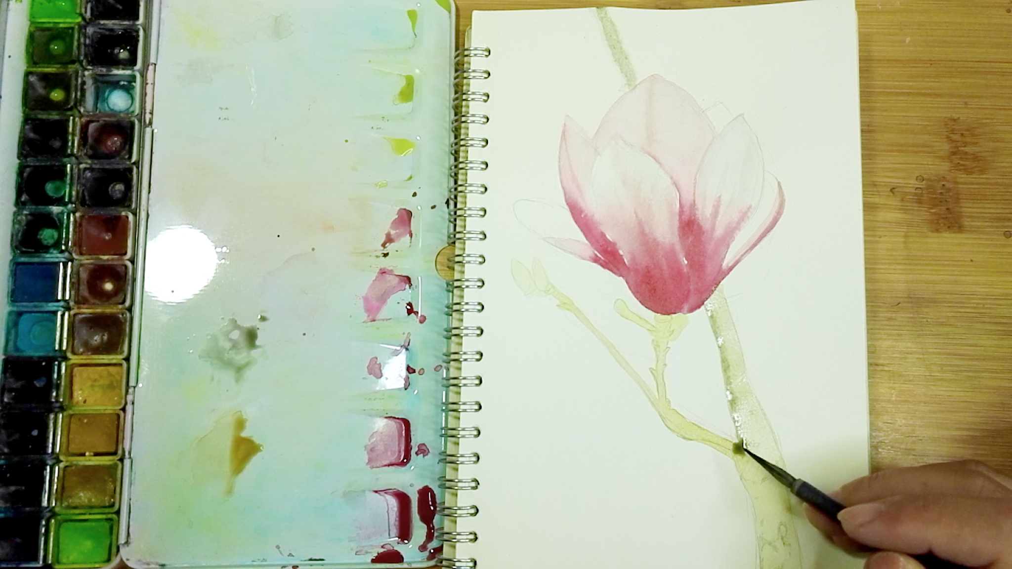 Watercolor magnolia flower tutorial, How to draw step by step easy, come to see my web class