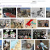Israel vs Gaza On Google Images