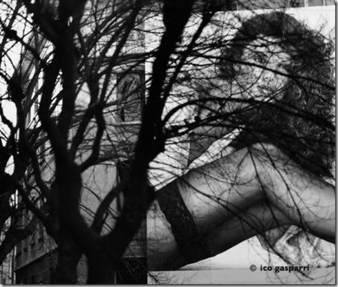 clip_image001 clip_image001