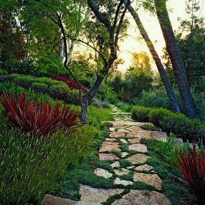 Site Blogspot  Garden Design Services on This Garden Pathway  Someday I M Going To Have A Garden Like This