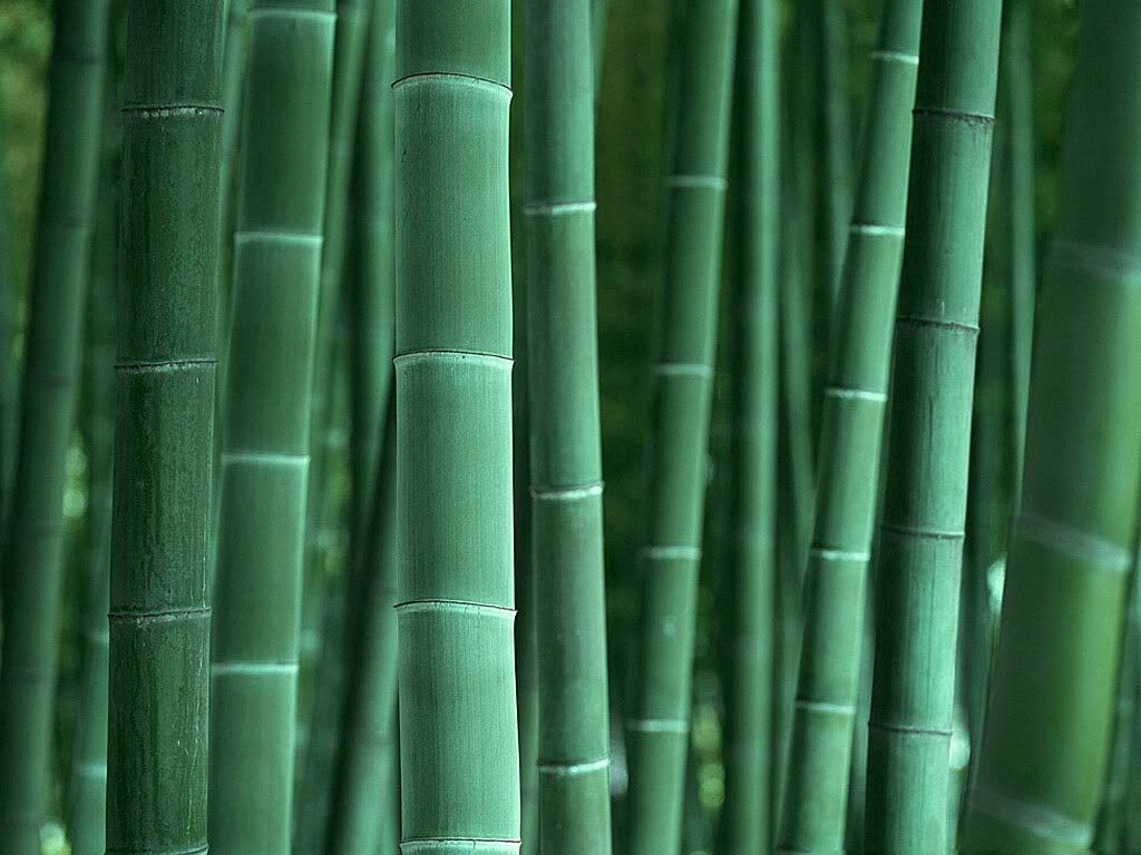  Kerajinan  Bambu  Kerajinan  Bambu 