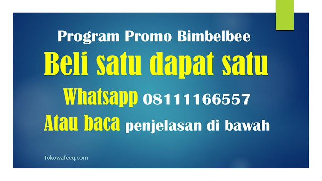 program promo flashdisk bimbelbee beli satu dapat satu