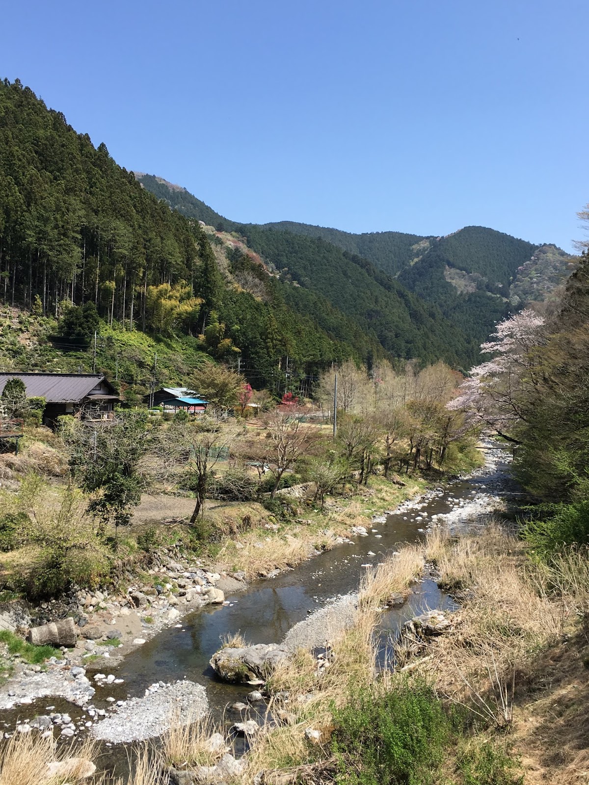 新緑の名栗川は ヤマメも高活性 名栗川の釣り 里川専門のテンカラ釣り Tenkaratrain