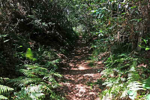 Ruta Embalse de Abegondo-Cecebre