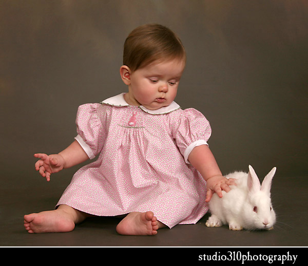 easter bunny portrait sessions by amanda dengler in north carolina photos pictures with bunnies