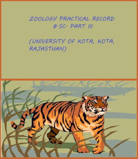 Zoology Practical Book