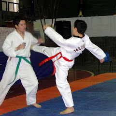 11° campeonato mineiro 2011