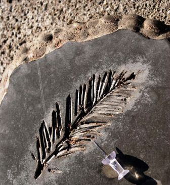 Prasasti Batu Fosil Buatan Sendiri  Handmade Fossil 