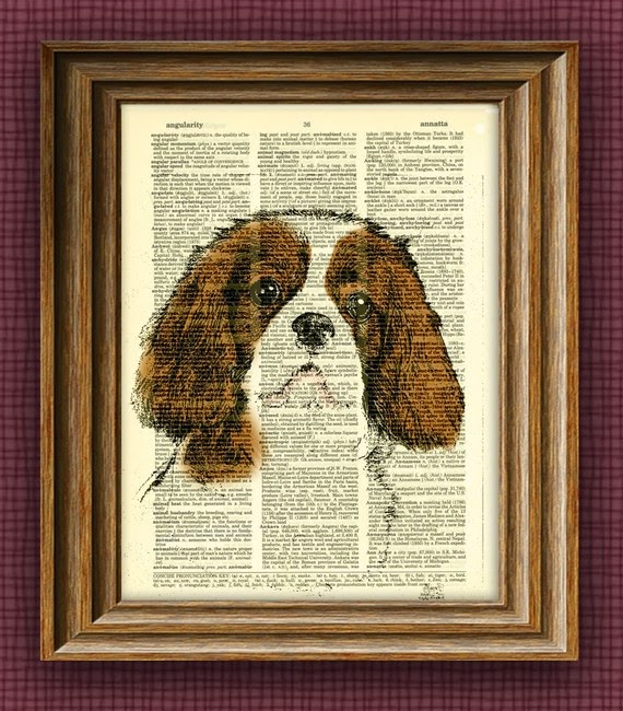 https://www.etsy.com/nz/listing/58645823/cavalier-king-charles-dog-beautifully