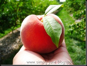Peach2