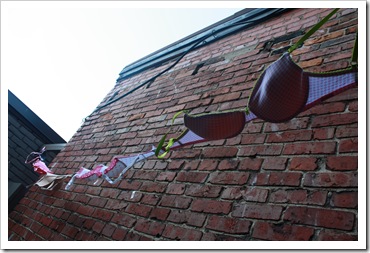 bras 006