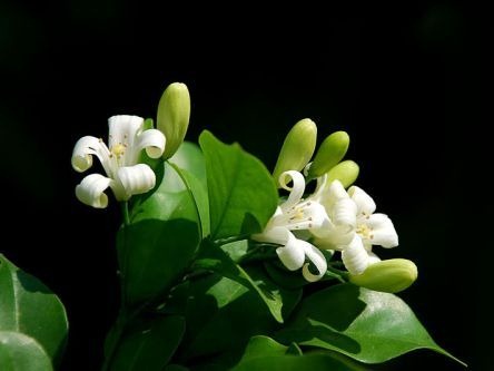 Trăng miền sơn cước - Eaphe ký sự (phần 4)