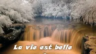 Citation Pour Souhaiter Bon Dimanche