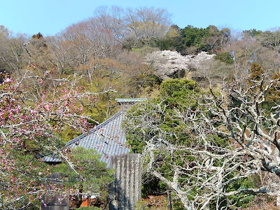  光則寺