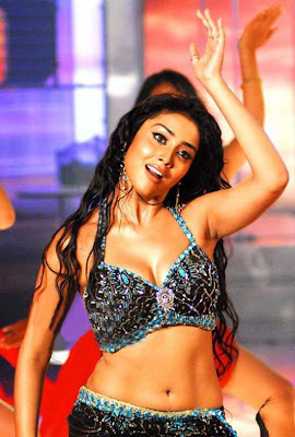 Actress Shriya Sharan Navel Show Photos-1