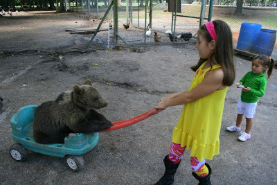 Kebun Binatang Paling Berbahaya di Dunia - Lujan Zoo24