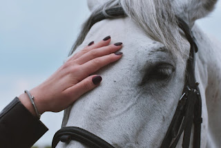 Can horses eat grapes