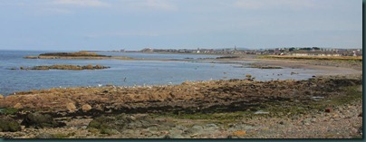 8-girvan