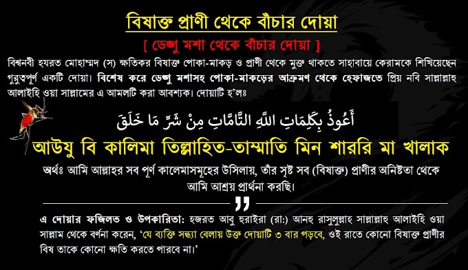 Dua for Protection from Poisonous Bites from Animal like -Sanake, Scorpion & Dengue Mosquito (ডেঙ্গু মশা থেকে বাঁচার দোয়া)