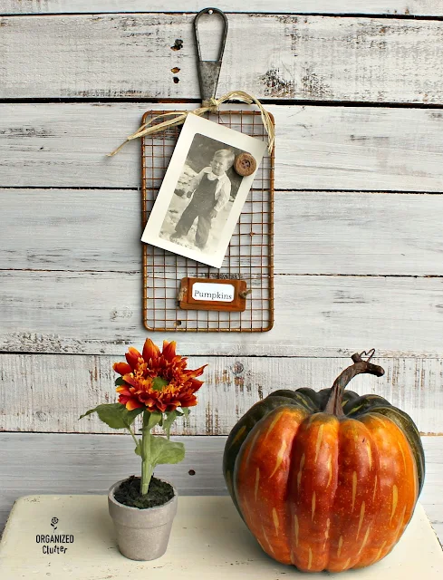 Repurposed Safety Grater Pumpkin Photo Holder Project www.organizedclutter.net