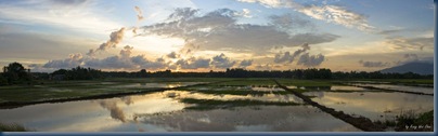 Field_Panorama 01a