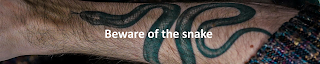 Beware of the snake blog